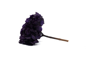 preserved-hydrangea-14.