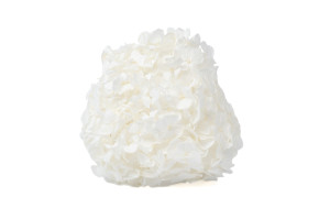 hortensia-kiara-stabilise-o-14-20-cm-37.