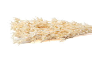 dried-nigella-orientalis-8