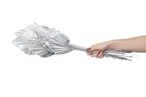 trockene-palme-spear-8.