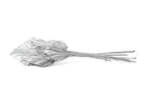 trockene-palme-spear-8.