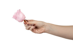 stabilisierte-rosenkopf-19.