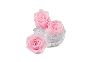 preserved-rose-heads-19.