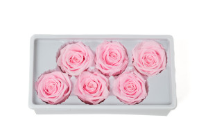 tetes-de-roses-stabilisees-19.