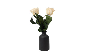 stabilisierte-rose-mit-stiel-25-stueck-9.