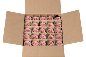 rose-tigee-stabilisee-25-unites-9.