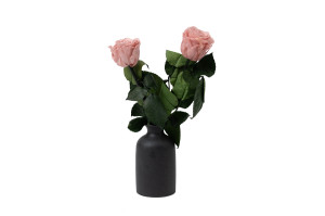 preserved-stem-rose-25-units-9.