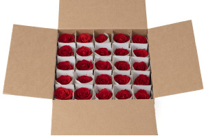 stabilisierte-rose-mit-stiel-25-stueck-9.