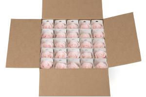 stabilisierte-rose-mit-stiel-25-stueck-9.