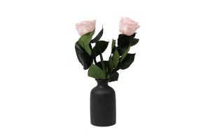 stabilisierte-rose-mit-stiel-25-stueck-9.