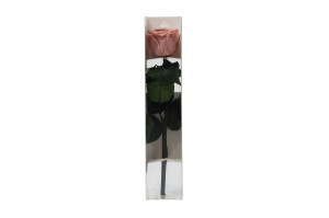 preserved-rose-on-stem-in-gift-box-9.