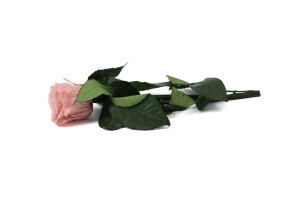 preserved-rose-on-stem-in-gift-box-9.