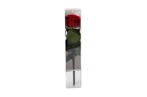 rose-tigee-stabilisee-en-coffret-9.