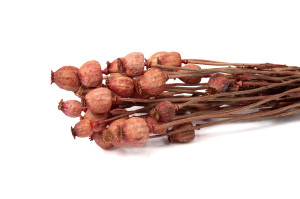 dried-poppy-250-g-18.