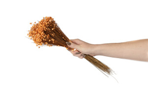 trockener-glixia-12.