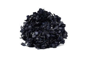 hortensia-stabilise-16-22-cm-9.