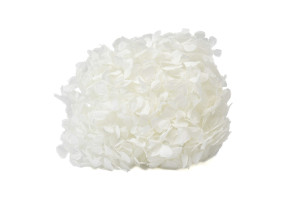hortensia-stabilise-o-16-22-cm-9.