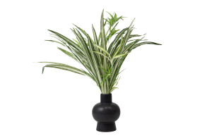 kuenstliche-chlorophytum-steckpflanze-41.