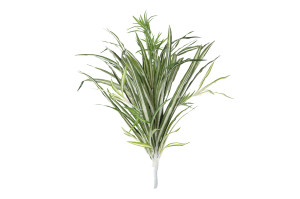 artificial-chlorophytum-pick-41.