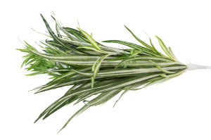 artificial-chlorophytum-pick-41.