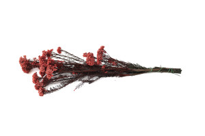 preserved-diosmirice-flower-6.