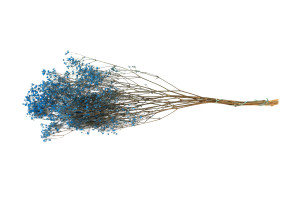 gypsophile-stabilise-6.