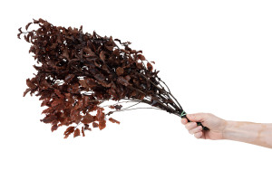 stabilisierter-klebsamen-6.