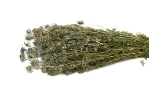 dried-nigella-blossom-29