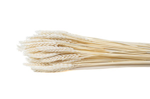 getrockneter-weizen-11.