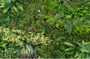 kuenstliches-multi-arten-panel-7-43.