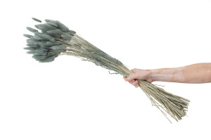 getrockenete-lagurus-12.