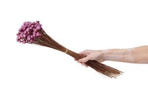 glixia-seche-geante-8.