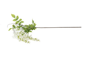 glycine-artificielle-chute-40.