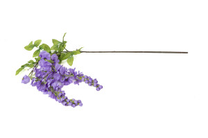 glycine-artificielle-chute-40.