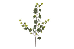 artificial-ivy-40.