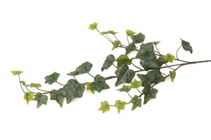 artificial-ivy-40.