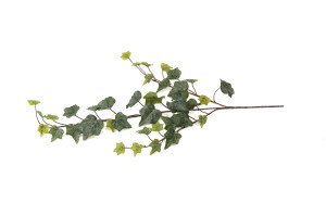 artificial-ivy-40.