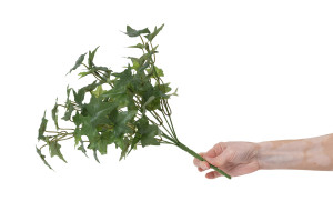 artificial-ivy-pick-40.