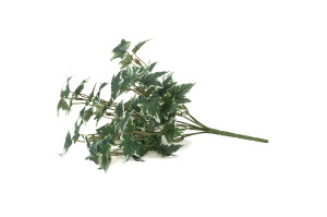 artificial-ivy-pick-40.