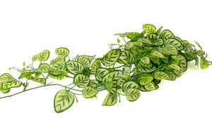 calathea-artificiel-chute-40.