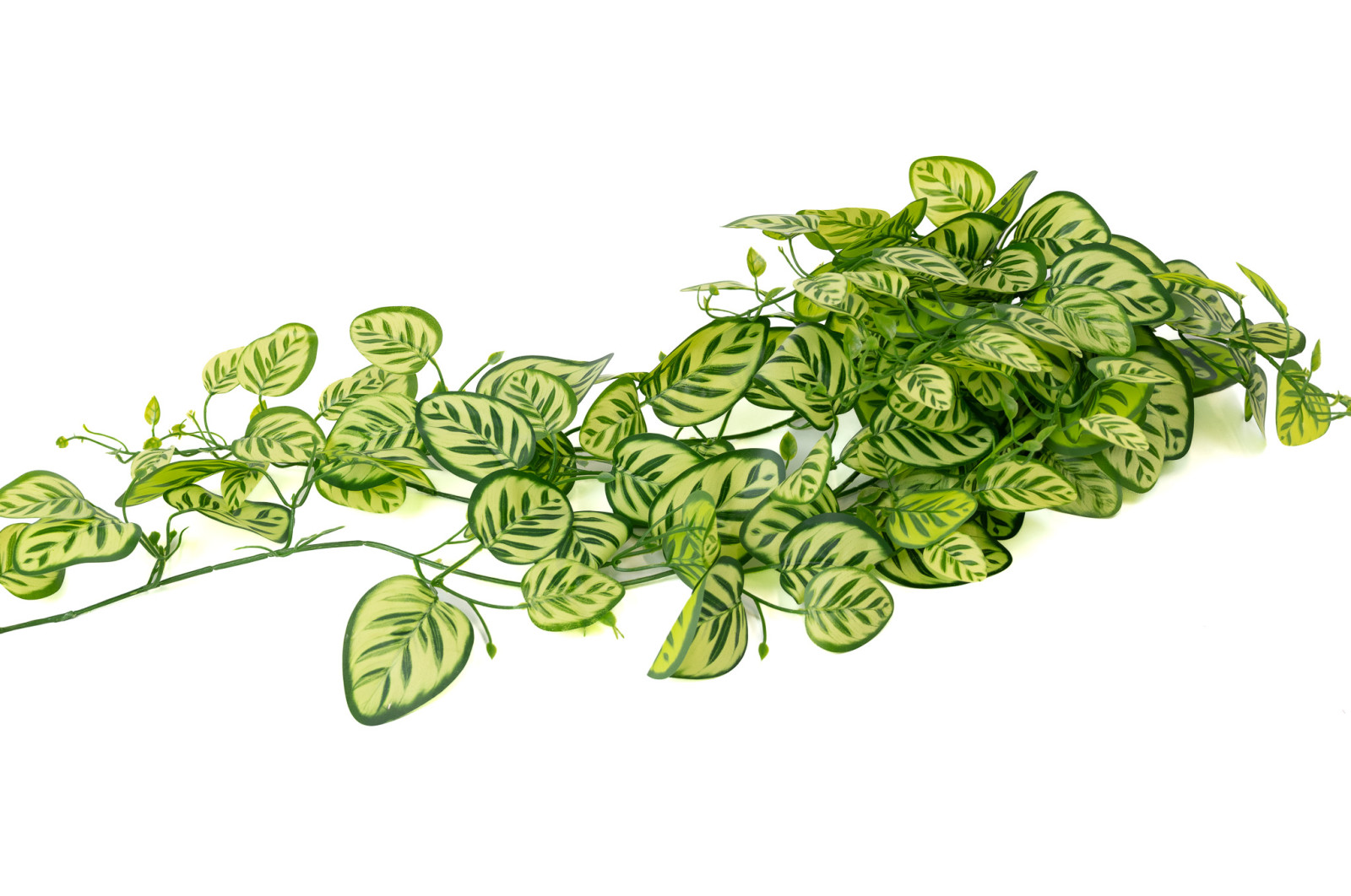 kuenstliche-haengende-calathea-40