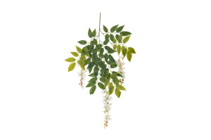 glycine-artificielle-40.