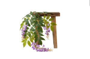 glycine-artificielle-40.