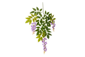 glycine-artificielle-40.