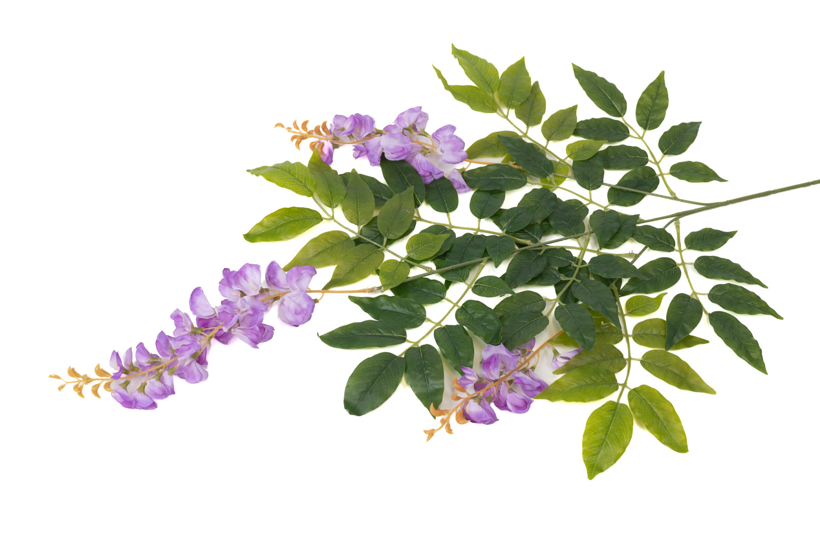 glycine-artificielle-40