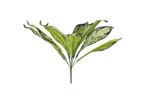 kuenstliches-aglaonema-mit-stab-40.