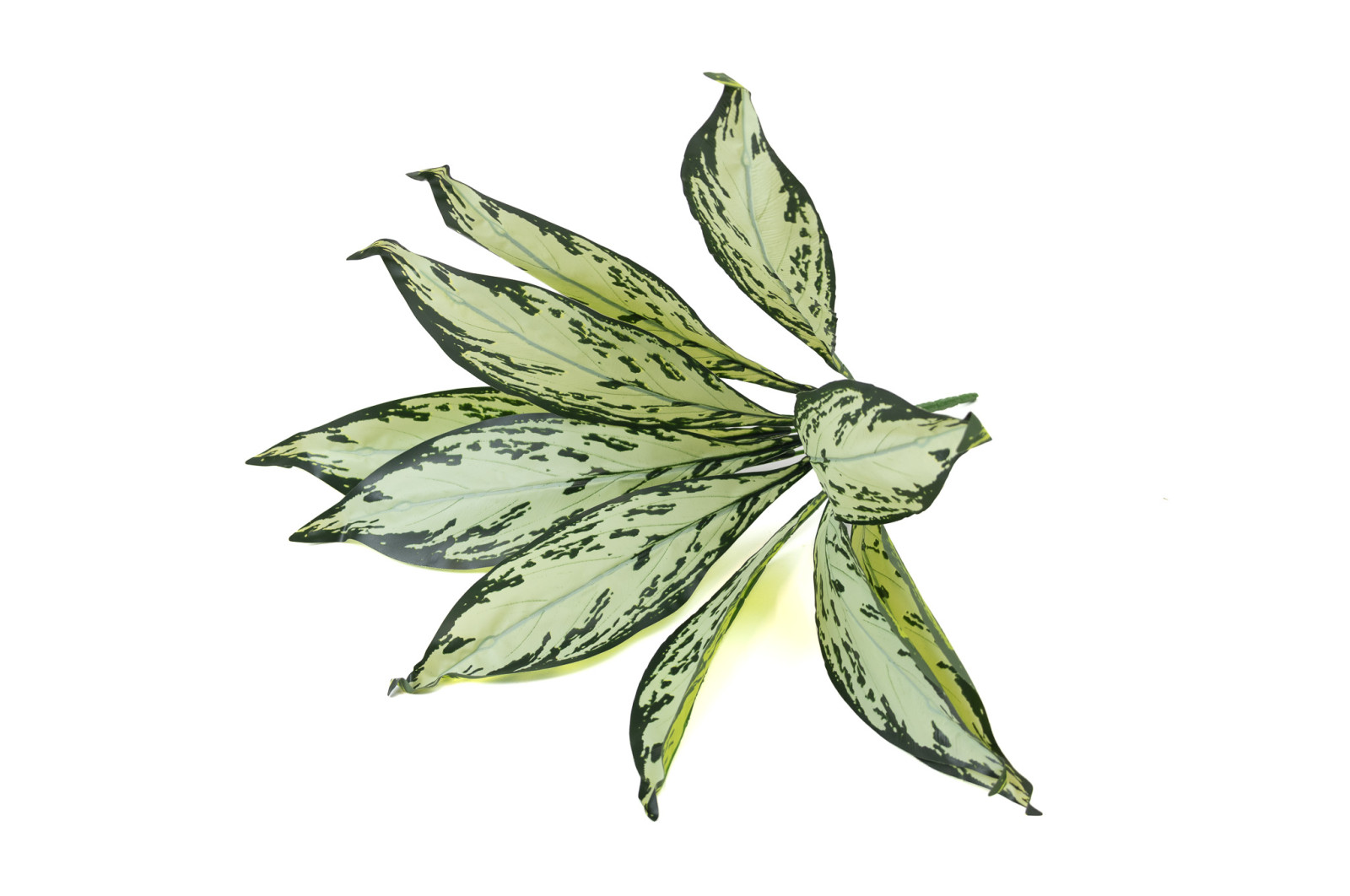 aglaonema-artificiel-piquet-40