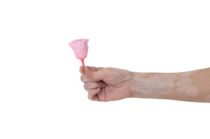 tetes-de-roses-stabilisees-31.