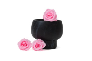 tetes-de-roses-stabilisees-31.