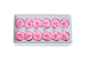 tetes-de-roses-stabilisees-31.